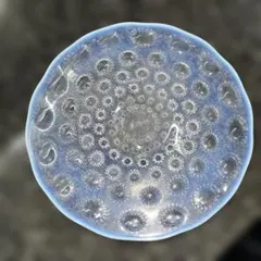 ラリック オパールセントガラス プレート 皿 LALIQUE ラリック 皿 プレート オパルセントガラス - メルカリ