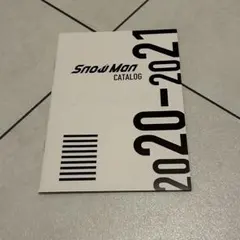 Snow Man 「Snow Mania S1」 初回盤A 特典 カタログ