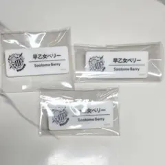 Item thumbnail for item f3f0f891-29a2-43e0-8227-092fc4a764d3