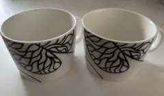 廃盤 iittala BOTNIA プレート 2枚セット 21㎝ - メルカリ