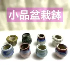 2026年最新】植木鉢 盆栽鉢 山野草鉢の人気アイテム - メルカリ