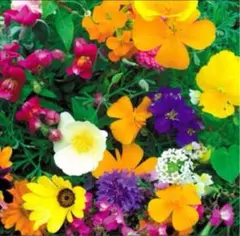 KURiO様 リクエスト 4点 まとめ商品