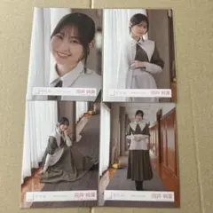 櫻坂46 向井純葉　本質的なこと　コンプ　生写真