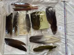 Item thumbnail for item 317decfe-41bc-4520-b6f0-eaa08a6c5c17