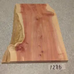 2026年最新】カイヅカイブキの人気アイテム - メルカリ