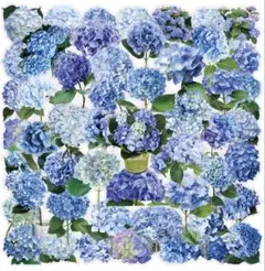 T231／コラージュ素材/海外/ステッカー/シール/PET アジサイ