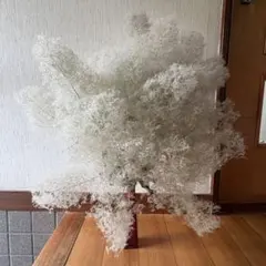 スモークツリー ボリューム 枝付き 特大 3本 ＊ ふわふわ ドライ