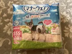 Item thumbnail for item 49b7e49c-2483-4c02-ab01-2136acf1c829