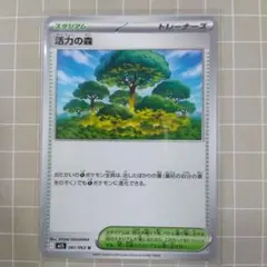 活力の森 061/063