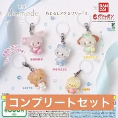 r*୧様 mikko characters めじるしアクセサリー3 コンプリート