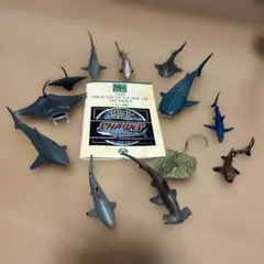 SHARKS THE WORLD サメフィギュアセット
