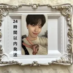 SEVENTEEN ディノ トレカ