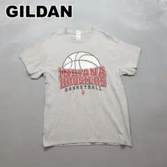 GILDAN USA古着 Tシャツ A1029 S グレー INDIANAのサムネイル