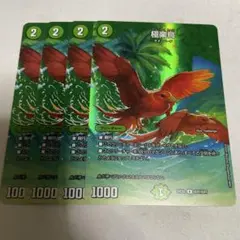 2026年最新】極楽鳥の人気アイテム - メルカリ