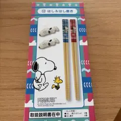 PEANUTS スヌーピー 箸セット　サンリオ　くじ はし& はしおき