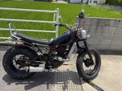 カール様専用 エイプ用ミニトリック管 - メルカリ