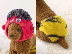 スリーコインズ 節分 ペット用鬼のパンツ ペット用鬼のかぶりもの