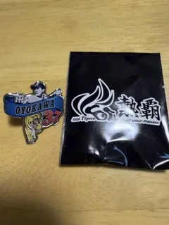 배송비 무료 阪神タイガース 及川雅貴投手ピンバッジ