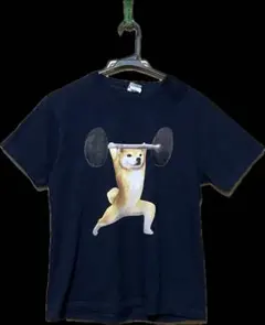 柴犬　Tシャツ【美品】