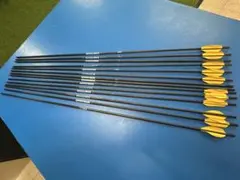 アーチェリー X10 550番C3 23本 タングステンポイント付き - メルカリ