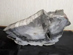 珪化木 巨大 天然石 置物 インテリア　11kg