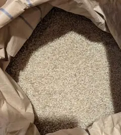 無農薬R6年度米 京都府綾部市 コウノトリの巣の横 コシヒカリ 10kg