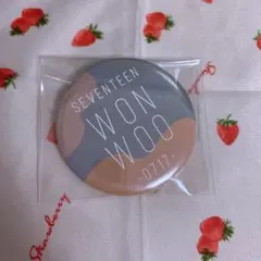 SEVENTEEN WINTER KUJI C賞 ウォヌ 缶バッジ1点