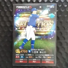 Calbeeポテトチップスカードプロ野球スピリッツA