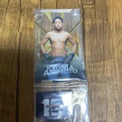 Item thumbnail for item e4b0f92b-e443-4eb3-a71c-022f0e5b6151