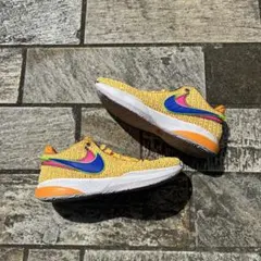 Nike Lebron 20