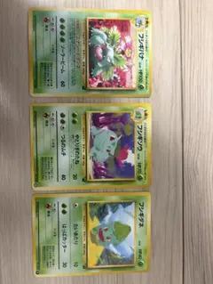 ポケモンカード 旧裏 チコリータ イントロパック☆neo 進化ライン