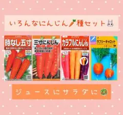 R★おまとめ購入50円引き♪様 リクエスト 4点 まとめ商品