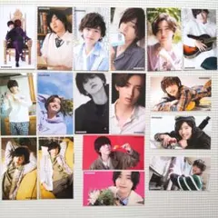 道枝駿佑　厚紙　17枚セット　(なにわ男子)