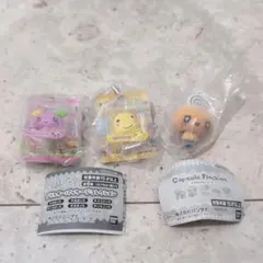 ブリスターパッケージコレクション