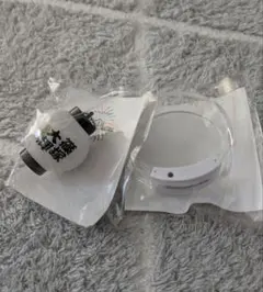 Timelesz◇ファンミグッズ◇ライトハングル◇篠塚大輝セット