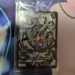 2026年最新】バラドヴィナシューラの人気アイテム - メルカリ
