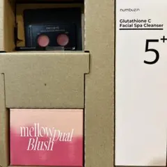 美的　真冬のスペシャル付録のみ