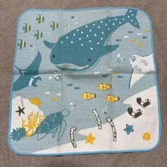 キッチンタオル