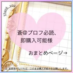 蒼@プロフ必読、即購入可能様 リクエスト 3点 まとめ商品