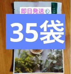 2025年最新】yosa ハーブの人気アイテム - メルカリ