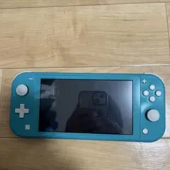 Switch Lite