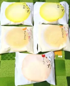 ⑦いのち　カスタードケーキ　れもん　杏仁みかん　りんご　ラグノオささき　生菓子のサムネイル