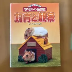 Item thumbnail for item 1125fcd3-9b38-43ef-91da-4e684afd4b13