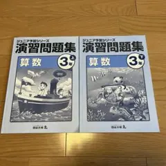2026年最新】ジュニア予習シリーズ 3年の人気アイテム - メルカリ