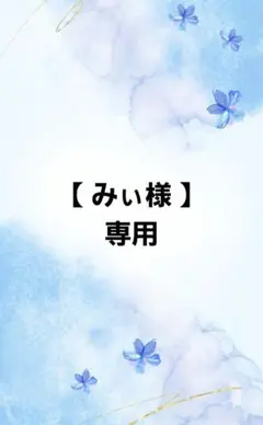 みぃ様専用ページ