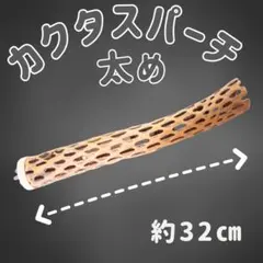 2026年最新】カクタスパーチの人気アイテム - メルカリ