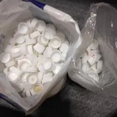 Item thumbnail for item 447c551c-2595-47b5-921b-f2c8d06c6106