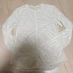 Item thumbnail for item 6388eb40-284a-4073-be22-8974fe6c3660