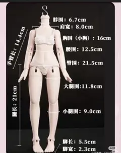 KK体　KIMDOLL ボディ