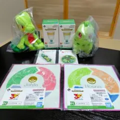 ち*❌様 ポケモン 一番くじ 30周年 ワニノコ ヒノアラシ キモリ 3体